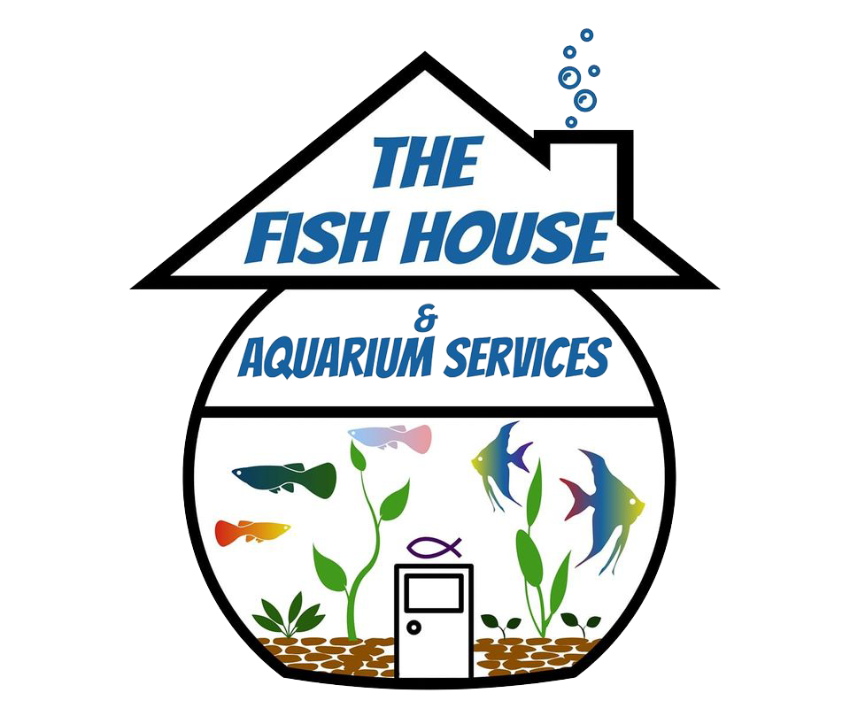 New Aquarium Setups The Fish House & Aquarium Services